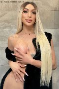 Foto Angel Bunny Transescort Milano 3474642611 - 3