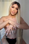Foto Angel Bunny Transescort Milano 3474642611 - 1