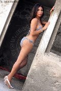 Foto Ariadna D'alessandro Transescort Perugia 3925046434 - 71