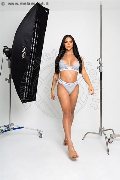 Foto Bella Angel Transescort Recife 005581988073834 - 19