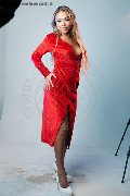Foto Carolina Lins Transescort Bela Vista 005511914219146 - 12