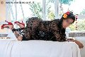 Foto Diana Ferraz Transescort Firenze 3271287566 - 84