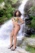 Foto Estrella Transescort Torino 3801783164 - 85
