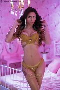 Foto Keylla Marques Pornostar Xxl Transescort Fortaleza 3337112655 - 64