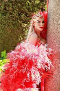 Foto Nina La Divina Trans Ibiza 0034617911341 - 3
