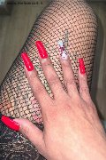 Reggio Calabria Trans Escort Bruna Menegassy 333 19 26 407 foto selfie 21