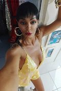 Padova Trans Escort Kartika 349 22 31 753 foto selfie 243