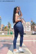Foto Zaffiro Trans Reggio Emilia 3508196216 - 10