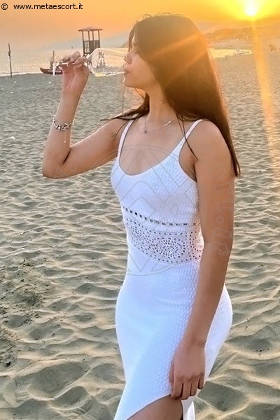 Sofia VERCELLI 3382653411